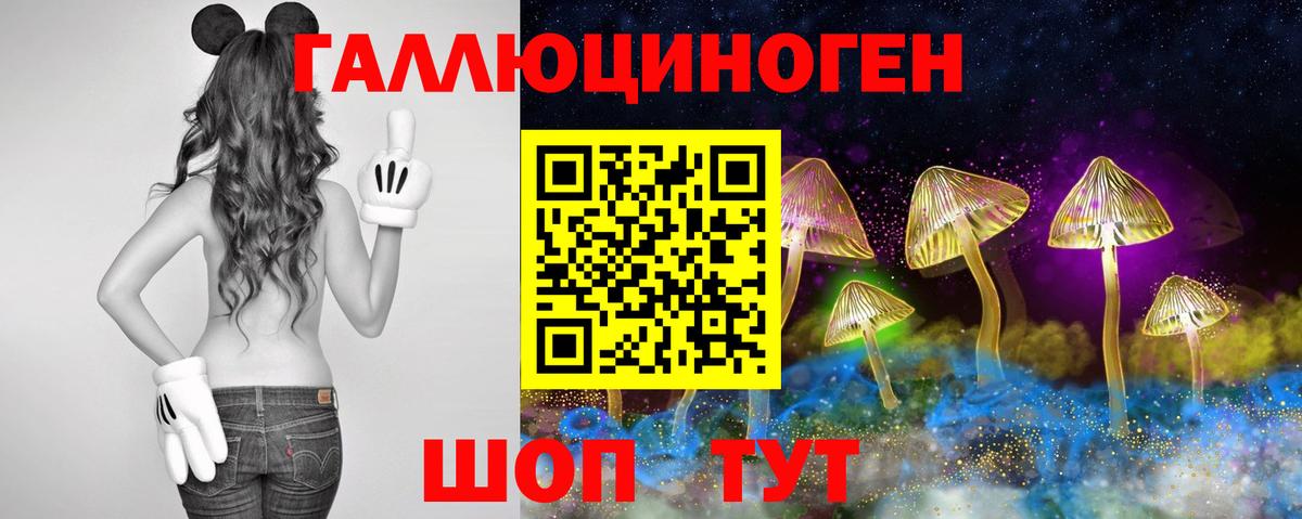 Псилоцибиновые грибы GOLDEN TEACHER Удомля