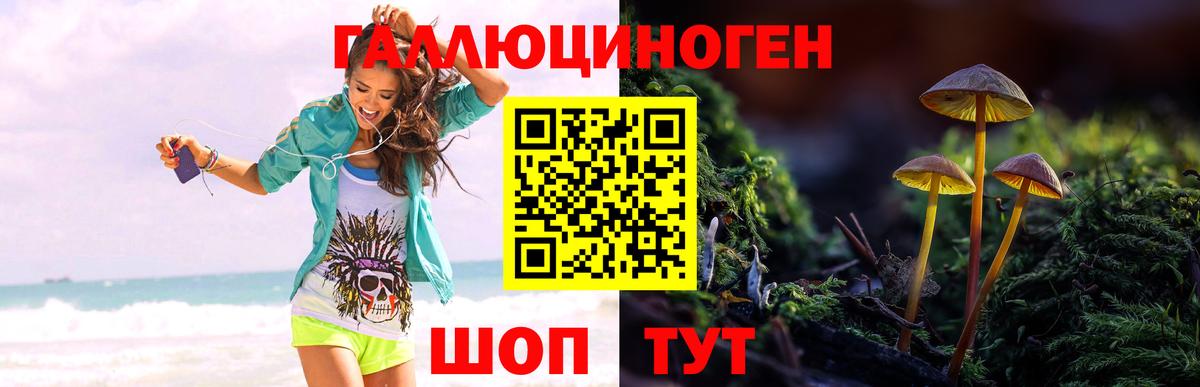 Галлюциногенные грибы Magic Shrooms  Вход с VPN  Удомля 